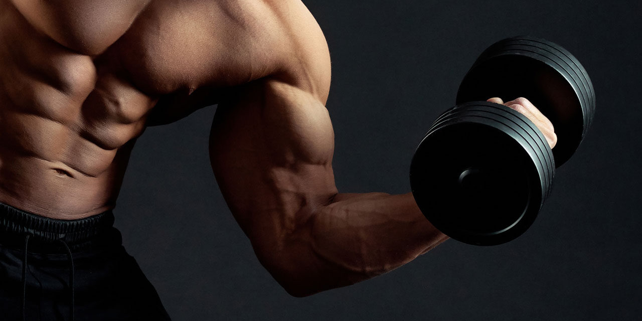 نبذة عن كمال الاجسام